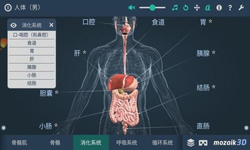 人体解剖3D模型安卓版下载-人体解剖3D模型app下载v66.666[医学模拟 