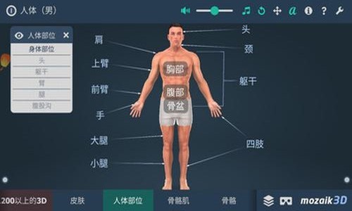 人体解剖3D模型