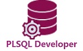 Pl SQL Developer段首LOGO