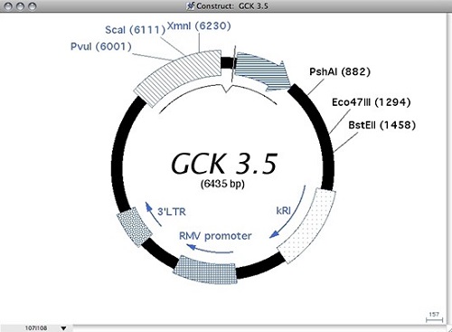 Gene Construction Kit Mac