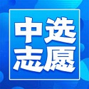 中选志愿电脑版