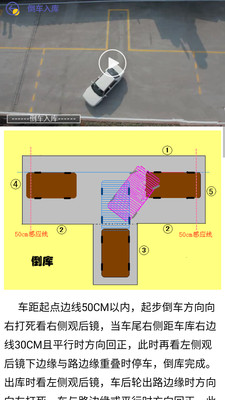 考个驾照电脑版