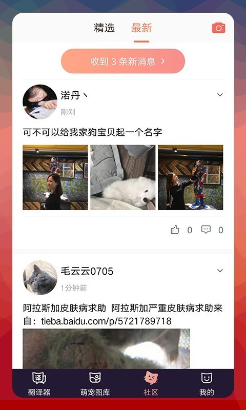 猫语翻译器专业版电脑版