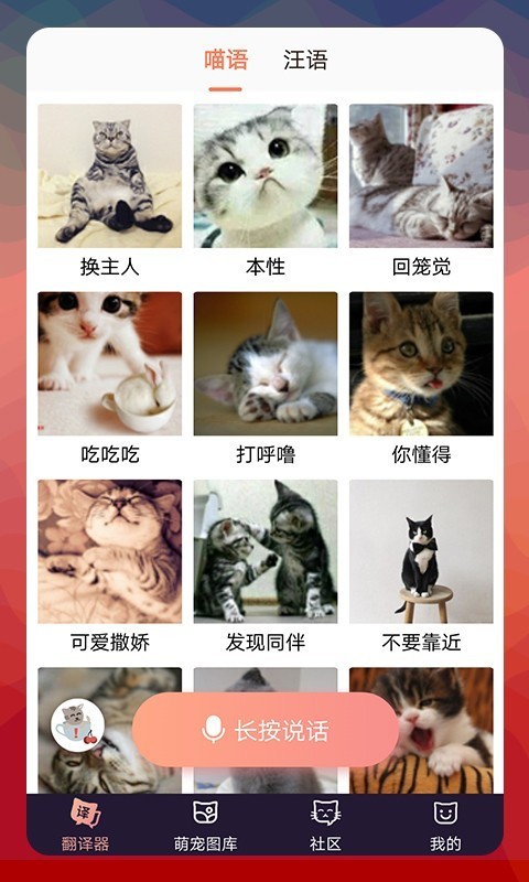 猫语翻译器专业版电脑版