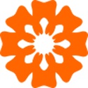 中齿云教育