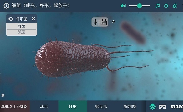 多样细菌立体分析电脑版