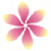 Petal
