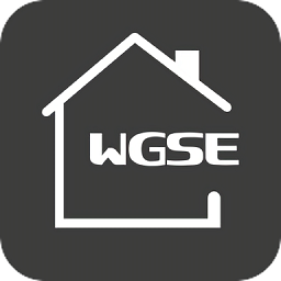 WGSE五光十色智能段首LOGO