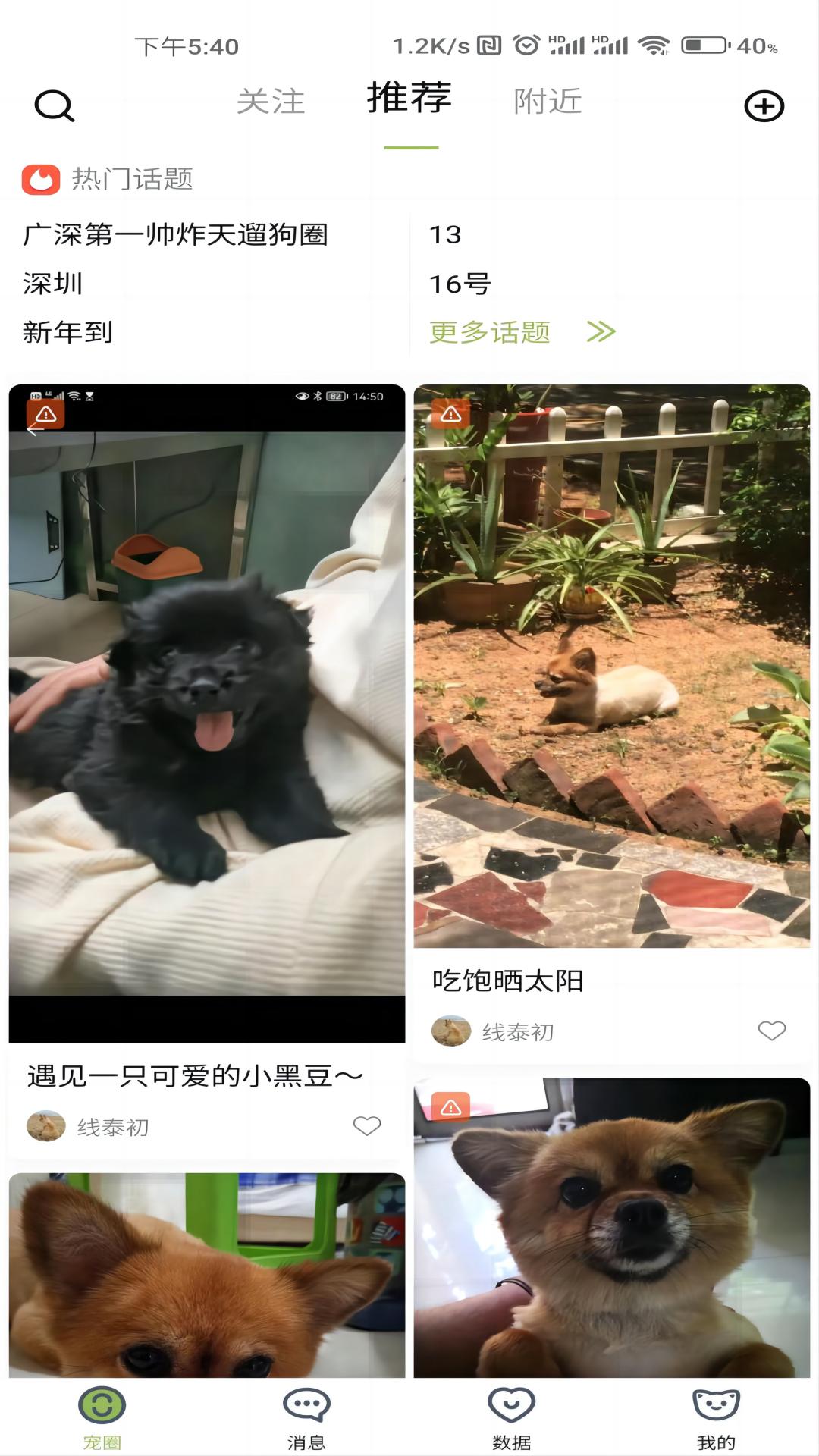 陌派