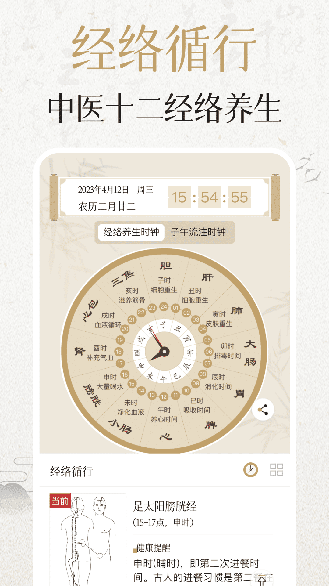 中济经络穴位