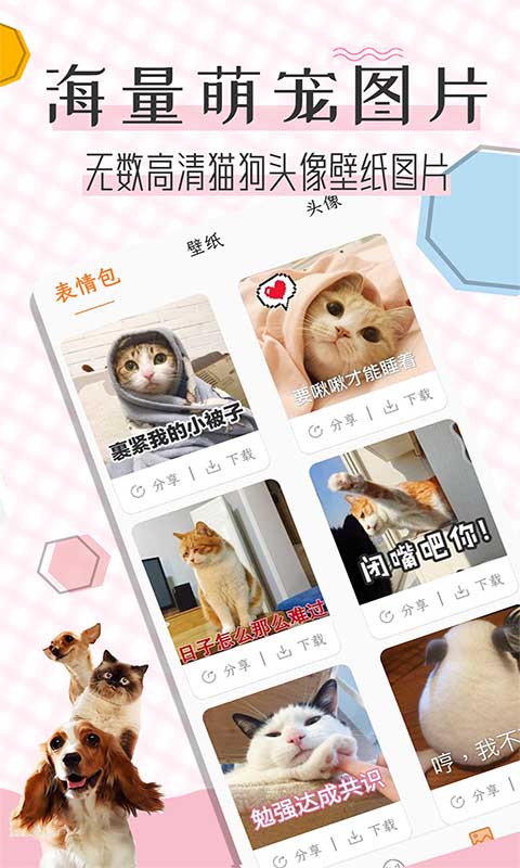 猫语翻译宝