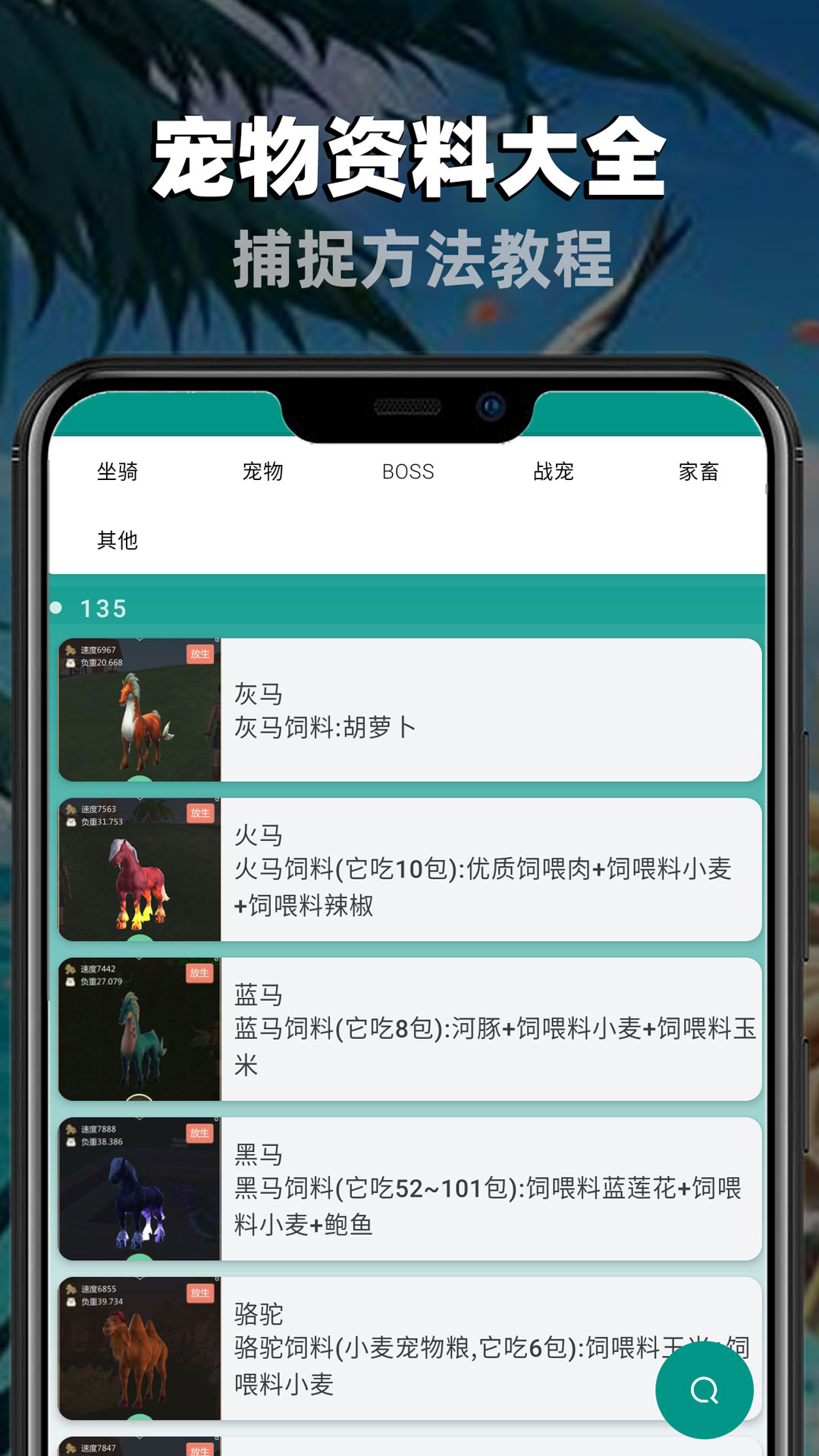 创造与魔法助手