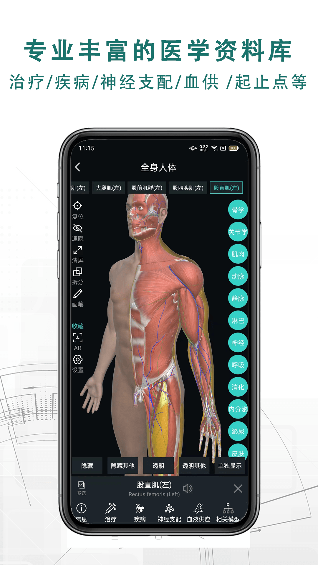 掌上3D解剖