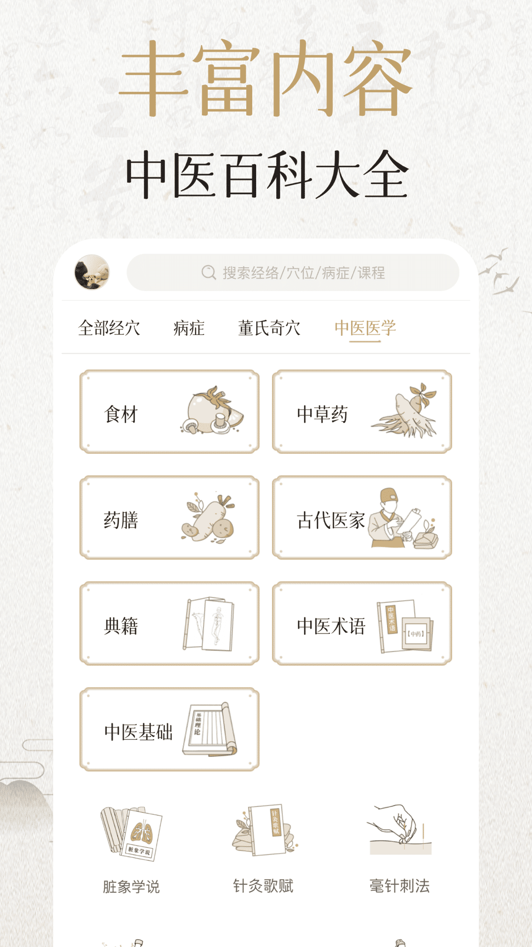 中济经络穴位