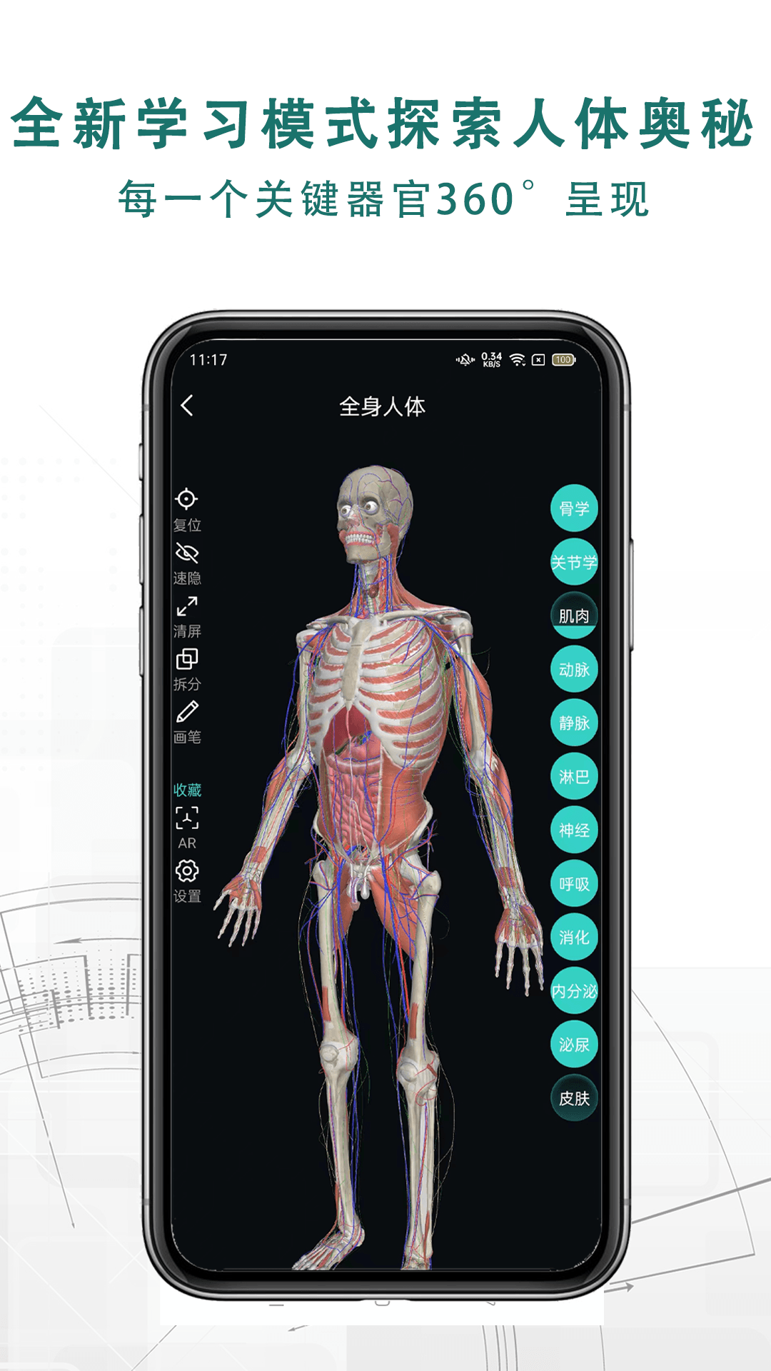 掌上3D解剖