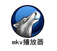 MKV播放器