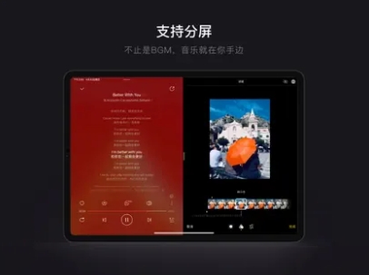 网易云音乐iPad版