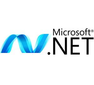 .NET Frameworkv6.0.301