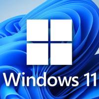 Windows11纯净版 64位