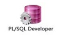 PL/SQL Developer段首LOGO