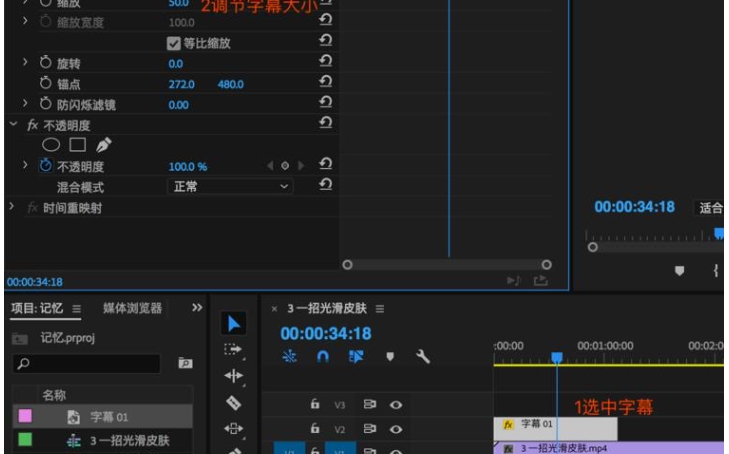 Adobe premiere pro CC2018