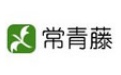 常青藤段首LOGO