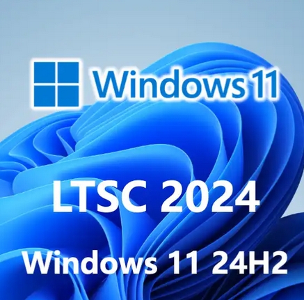 Windows 11 64位 24H2 企業(yè)版LTSC（純凈版）