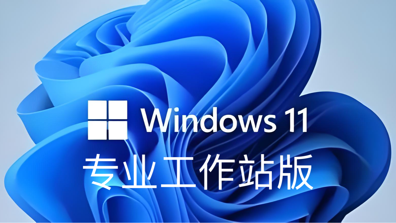 Windows11 23H2 64位 专业工作站版段首LOGO