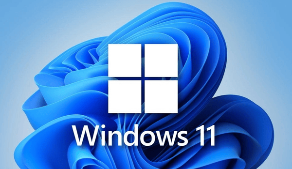 Windows11 24H2 26100.3476 X64 正式版段首LOGO