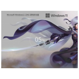 Windows11 23H2 64位