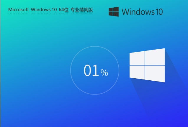 Windows10 22H2 64位 專業(yè)精簡版截圖