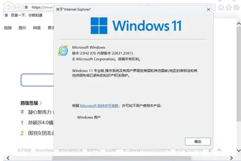 Windows11 23H2 64位 專業(yè)精簡版截圖