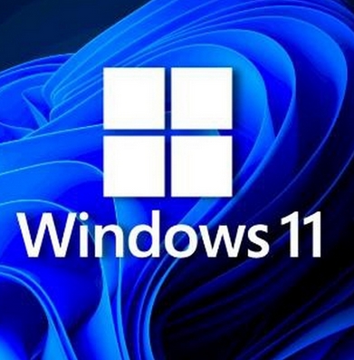 Windows11 23H2 企业版