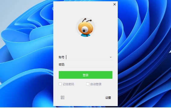 大蚂蚁