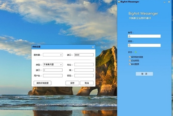 大蚂蚁