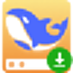 DS本地部署大师