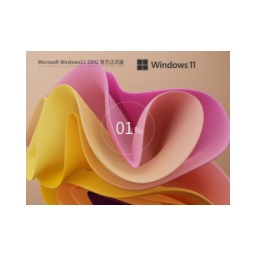 Windows11 23H2 22631.5335 X64