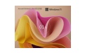 Windows11 23H2 22631.5335 X64段首LOGO