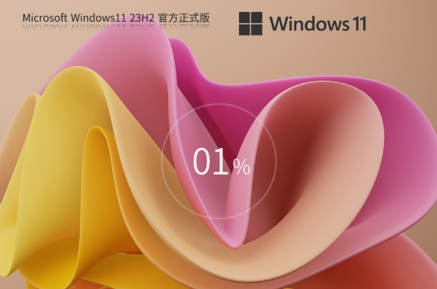 Windows11 23H2 22631.5335 X64截圖