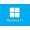 Windows 11 64位 24H2 企业版LTSC（纯净版）