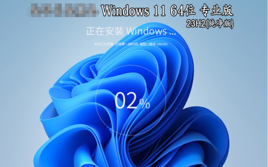 Windows 11 64位 23H2 專業(yè)版（純凈版）截圖