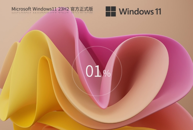 Windows11 23H2 22631.5413 X64 专业版截图