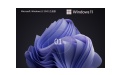 【最安全的 Windows】Windows11 23H2 64位段首LOGO
