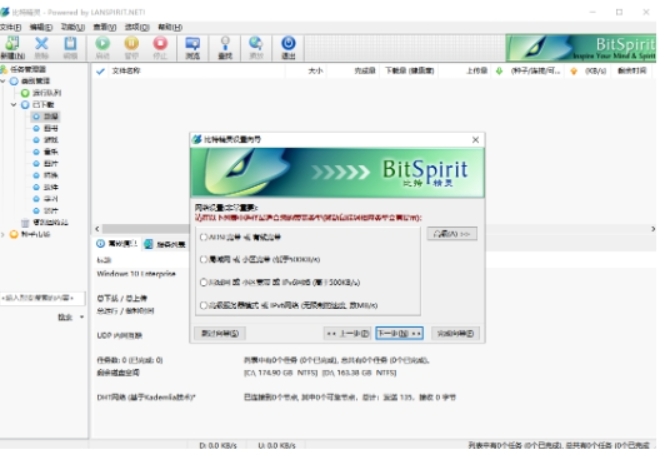 BitSpirit下载