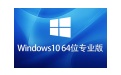 Win10中文版升级专业版段首LOGO
