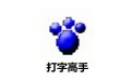 打字高手