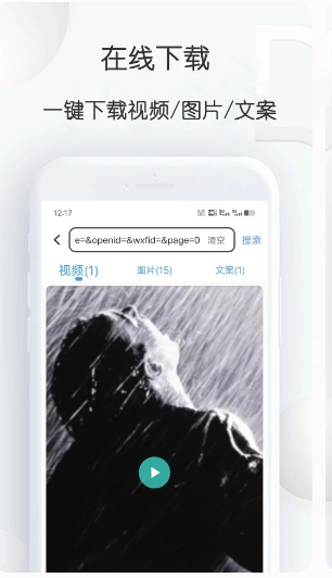 短视频提取大师下载