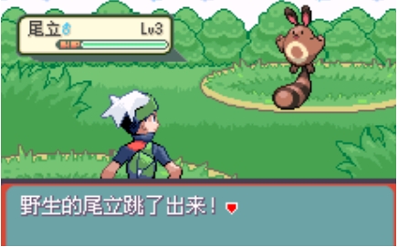 口袋妖怪 绿宝石