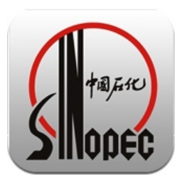 中石化远程接入系统