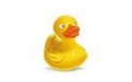 CyberDuck段首LOGO